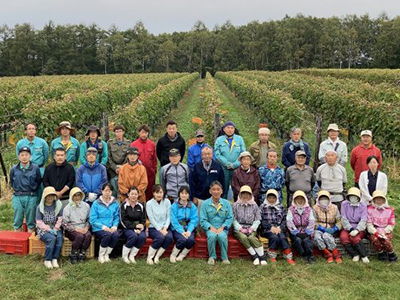 北海道ワインの鶴沼ワイナリーで、2022年の収穫が始まりました！