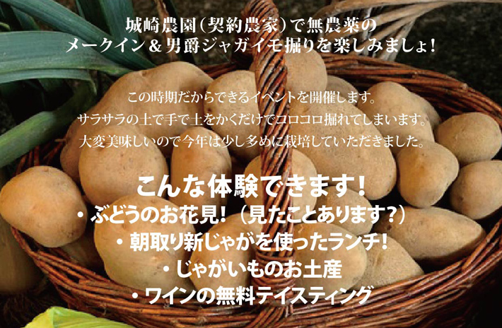 じゃがいもホリデーチラシ