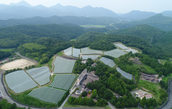 安心院葡萄酒工房俯瞰全景
