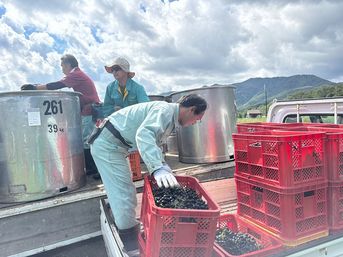 9月2日コンテナ回収