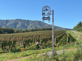 9月31日ツヴァイゲルト