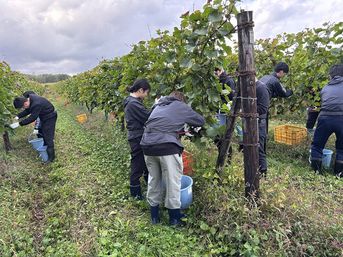 国分研修の様子1