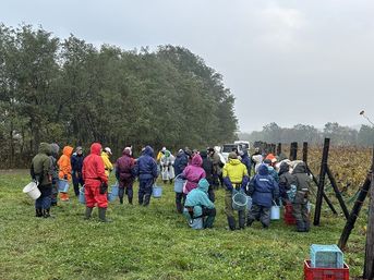 10月31日収穫最終日