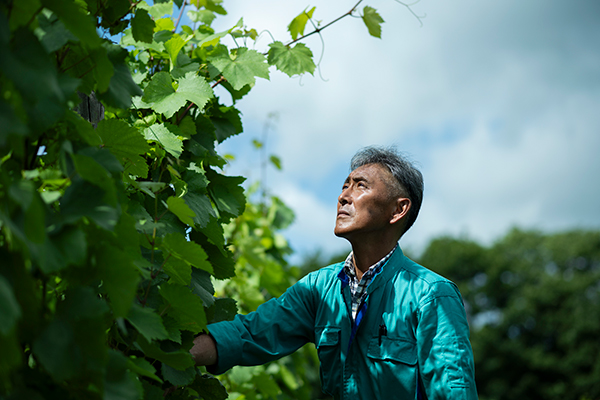 鶴沼ワイナリー 齋藤 浩司農場長