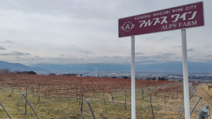 片丘2圃場（コンコード）