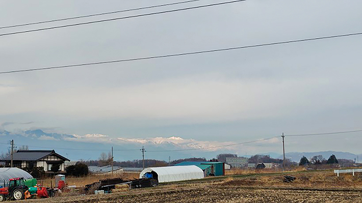 片丘圃場から見た景色